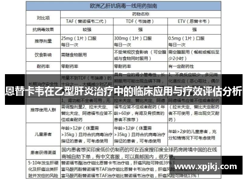 恩替卡韦在乙型肝炎治疗中的临床应用与疗效评估分析